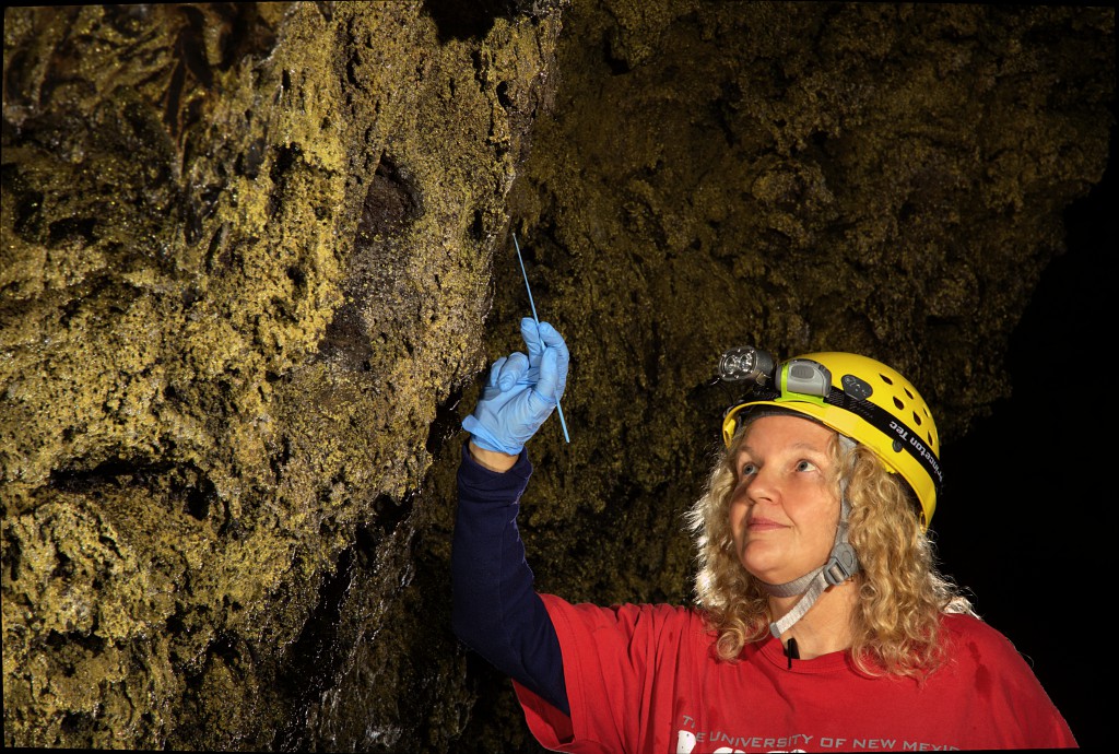 Diana Northup doing microbial sampling in a cave