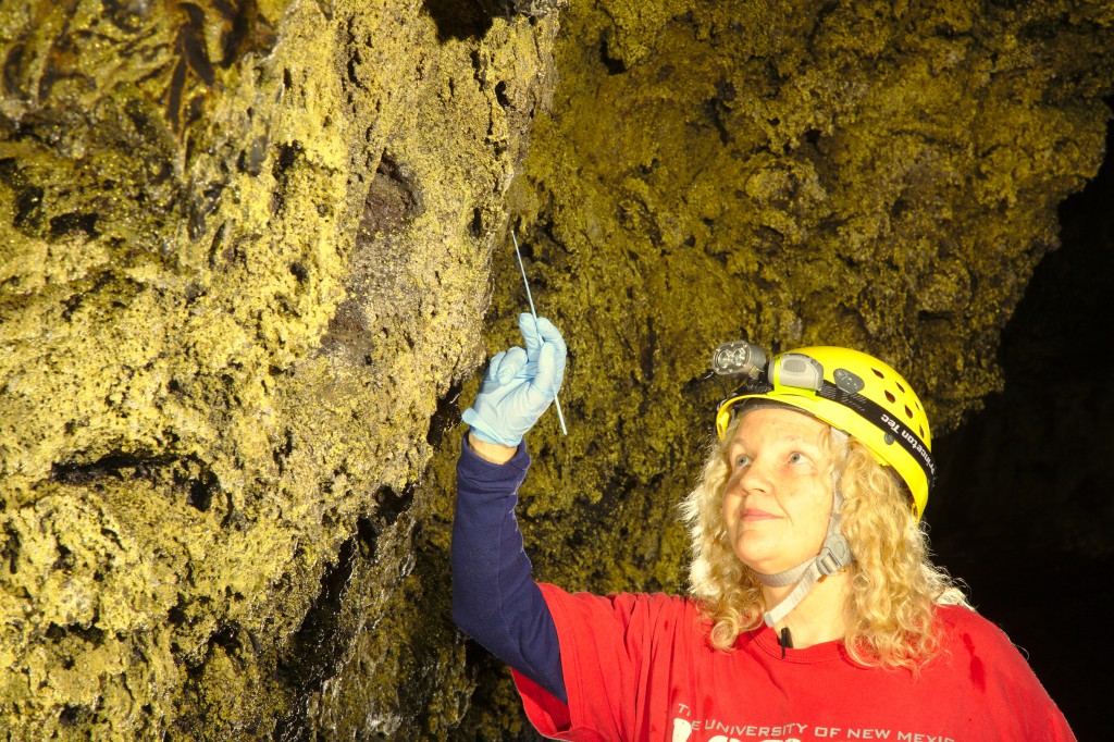 photo with a yellow cast to illustrate what can happen with an incorrect white balance